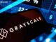 Grayscale Names 4 Crypto Networks Poised to Gain From CLARITY Act