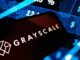 Grayscale Lowers ZCSH Share Price With 3-for-1 Split for Zcash ETF